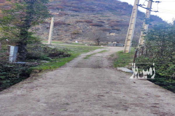 زمینی ۸۴۰ متر جنت رودبار چورته جیرود-3