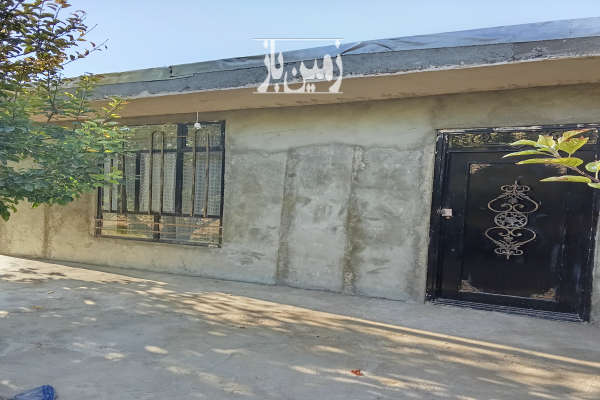 زمین سردختی روستای نوا با درختان ۱۴۵۰ متر-1