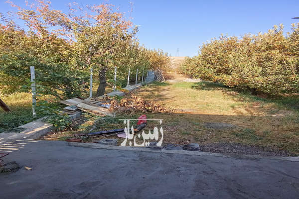 زمین سردختی روستای نوا با درختان ۱۴۵۰ متر-2