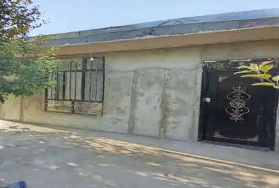 زمین سردختی روستای نوا با درختان ۱۴۵۰ متر