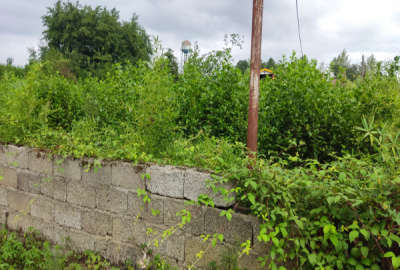 زمین دو بر ۴۱۸ متر قبل فومن روستای گوشلوندان