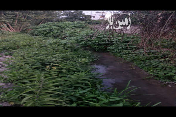 زمین مسکونی روستای دولت آباد ساری ۱۲۰۰ متر-3