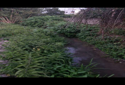 زمین مسکونی روستای دولت آباد ساری ۱۲۰۰ متر