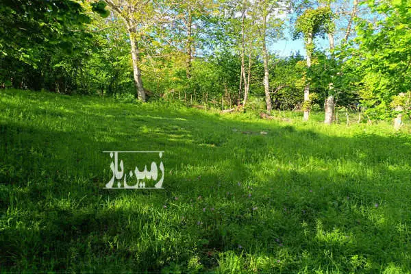 زمین در دوهزار روستای میانکوه ۶۰۰ متر - تصویر 2