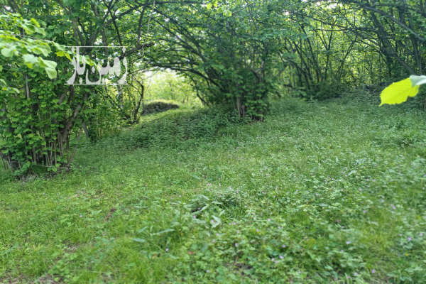 زمین در دوهزار روستای میانکوه ۶۰۰ متر-3