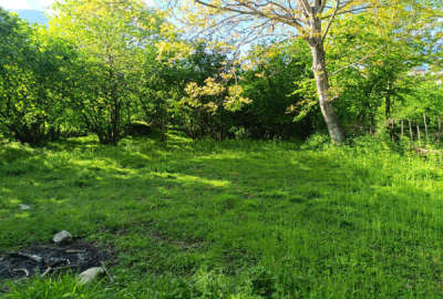 زمین در دوهزار روستای میانکوه ۶۰۰ متر