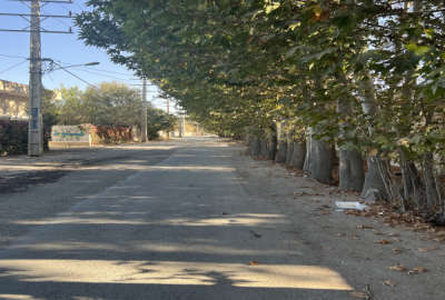 باغچه ۲۶۰ متری تهراندشت قاسم اباد اقا