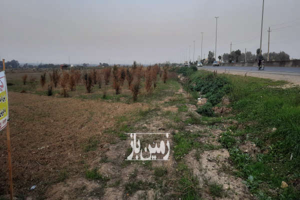 زمین ۴۰۰ متر زمین بر کمربندی منطقه آزاد بهشهر-2