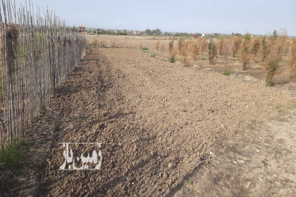زمین ۴۰۰ متر زمین بر کمربندی منطقه آزاد بهشهر-4