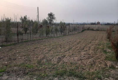 زمین ۴۰۰ متر زمین بر کمربندی منطقه آزاد بهشهر