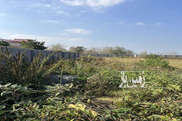 زمین ۴۰۰۰ متر مسکونی جاده انزلی روستای بیج-2