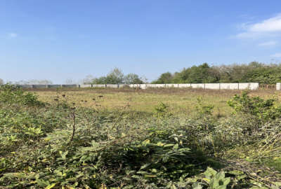 زمین ۴۰۰۰ متر مسکونی جاده انزلی روستای بیج