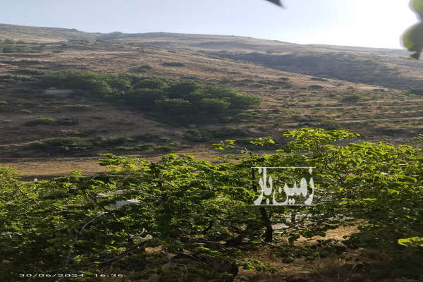 زمین باغ رودهن بلوار شریعتی جاده لواسانات ۵۰۰ متر-1