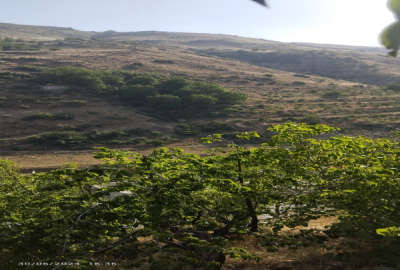 زمین باغ رودهن بلوار شریعتی جاده لواسانات ۵۰۰ متر