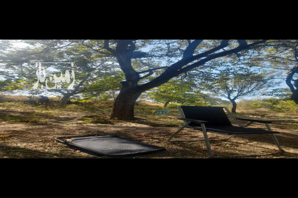 باغ گردو و بادام در نوبران مداوا ۷۰۰ متر-1