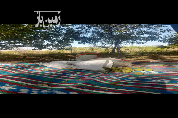 باغ گردو و بادام در نوبران مداوا ۷۰۰ متر-4