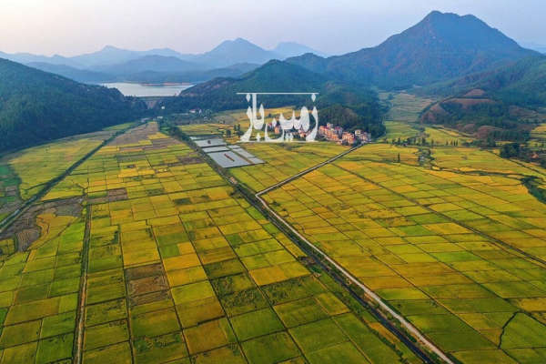 زمین کشاورزی ۲۰۰۰متری در سیاهکل گیلان-1