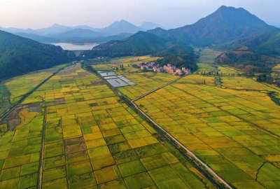 زمین کشاورزی ۲۰۰۰متری در سیاهکل گیلان