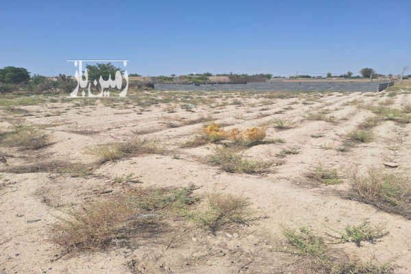 زمینی به مساحت ۷۰۰ متر روستای معین اباد-1