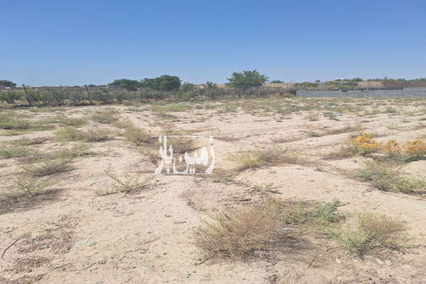 زمینی به مساحت ۷۰۰ متر روستای معین اباد-3