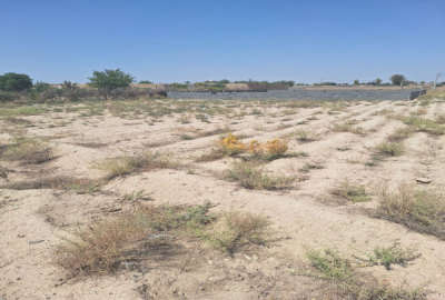 زمینی به مساحت ۷۰۰ متر روستای معین اباد