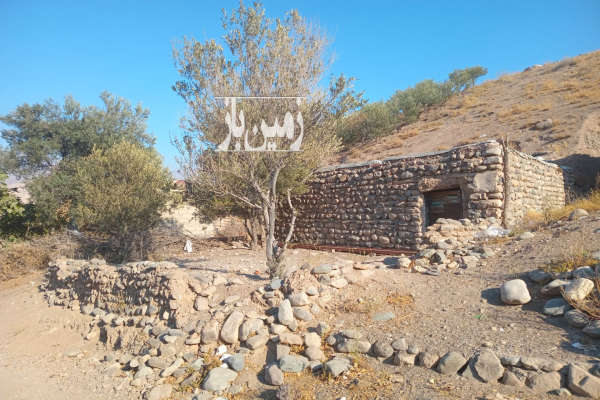 زمین در طارم روستای تسکین ۲۰۰ متر-1