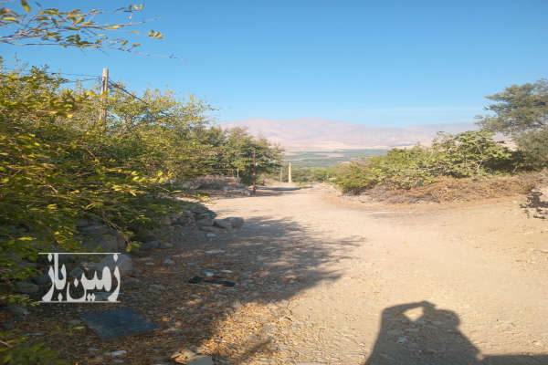 زمین در طارم روستای تسکین ۲۰۰ متر-4