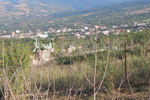زمین ۷۵۰ متر ویلایی واقع در خلیل شهر با ویو عالی-1