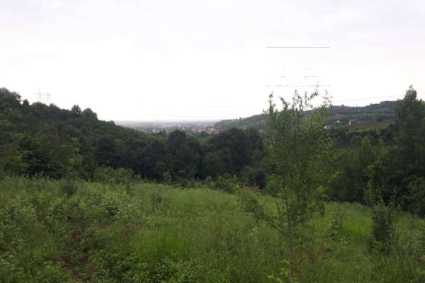 باغ ۶۰۰۰ متر واقع در ساری روستای کردخیل-1
