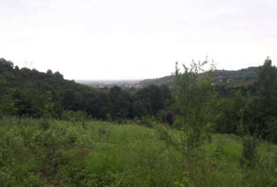 باغ ۶۰۰۰ متر واقع در ساری روستای کردخیل