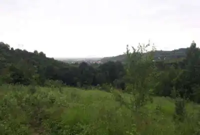 باغ ۶۰۰۰ متر واقع در ساری روستای کردخیل