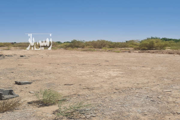 زمین ۲۵۰ متری در شهرک گلها شفته شده-2