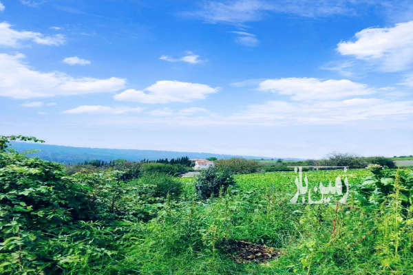 زمین ویلایی نکا روستای چلمردی ۱۰۰۰ متر-1