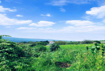 زمین ویلایی نکا روستای چلمردی ۱۰۰۰ متر
