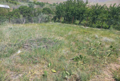 زمین ۱۴۵ متری در طالقان روستای میراش