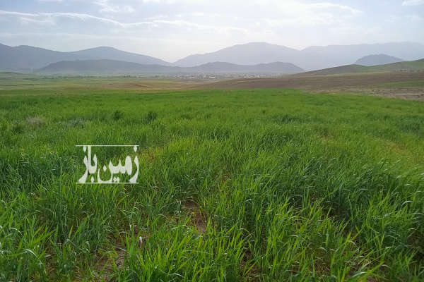 زمین ۱۰جریب دیم درسودجان جهت کشاورزی یاباغ-1