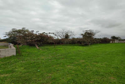 زمین بافت مسکونی چالوس ۳۰۰ متر