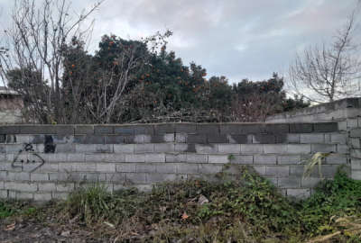 زمین باغی داخل بافت شهر خط ساحلی شهرود ۳۲۴ متر