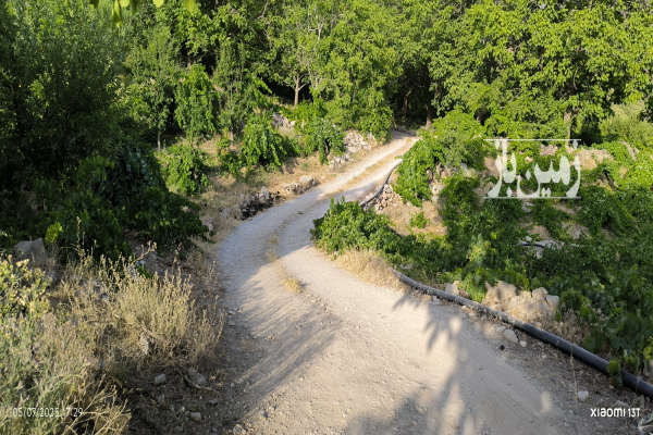 زمین با کاربری باغی سیسخت ۱۰۵۰ متر-2