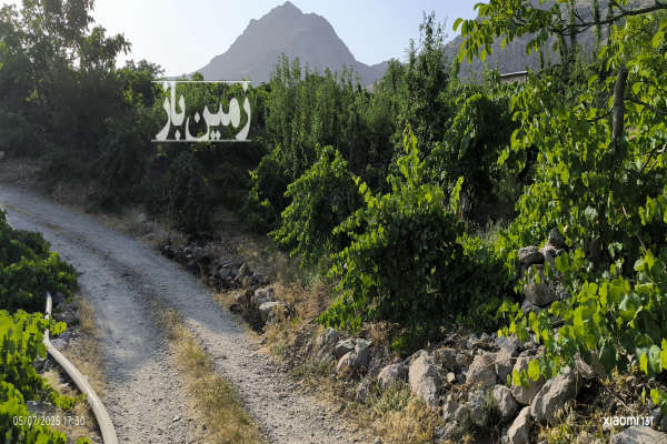 زمین با کاربری باغی سیسخت ۱۰۵۰ متر-3