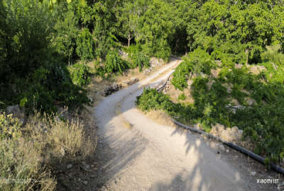 زمین با کاربری باغی سیسخت ۱۰۵۰ متر