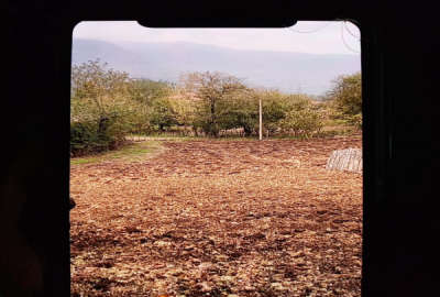 زمین مسکونی در چهاردانگه روستای سادات محله ۳۰۰ متر