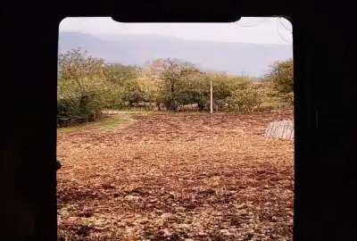 زمین مسکونی در چهاردانگه روستای سادات محله ۳۰۰ متر