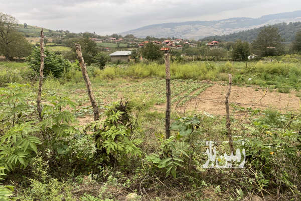 زمین مسکونی ۱۶۰متر واقع در روستای پلسک-1