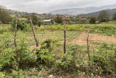 زمین مسکونی ۱۶۰متر واقع در روستای پلسک