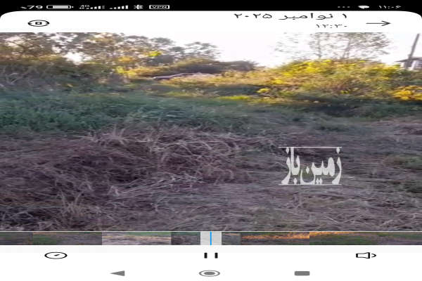 زمین شالیزار همراه خانه روستایی سنددار در لنگرود-2