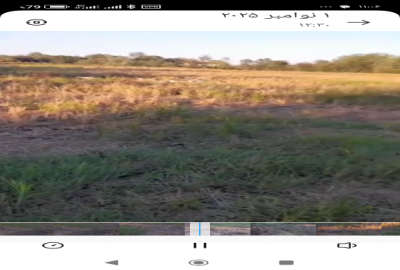 زمین شالیزار همراه خانه روستایی سنددار در لنگرود