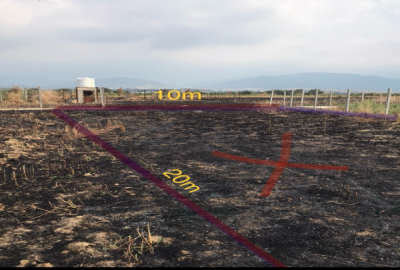 زمین کشاورزی ۲۰۰ متری در شموشک پایین