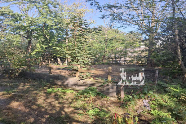 زمین مسکونی ۲۰۰ متر دارای جواز کتالم خیابان طهانی-2