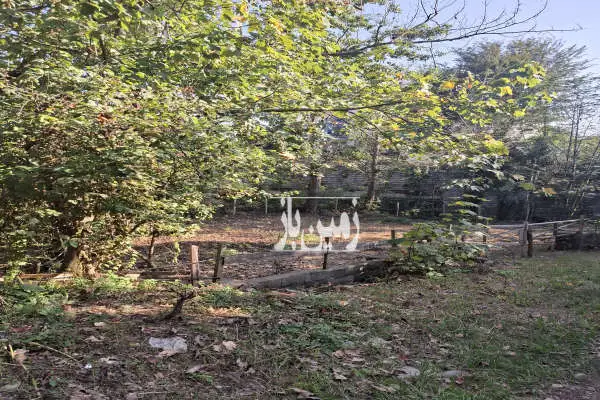 زمین مسکونی ۲۰۰ متر دارای جواز کتالم خیابان طهانی - تصویر 2